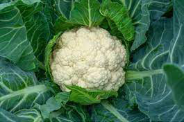 Cauliflower