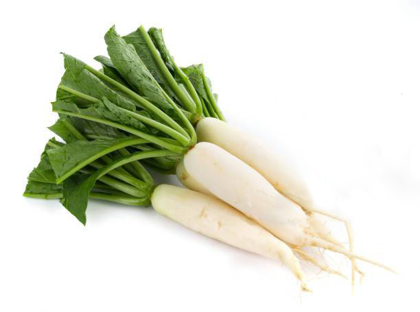 Radish