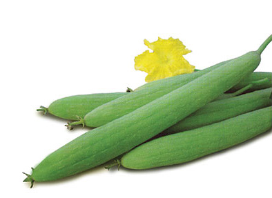 Sponge Gourd