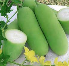 Wax Gourd